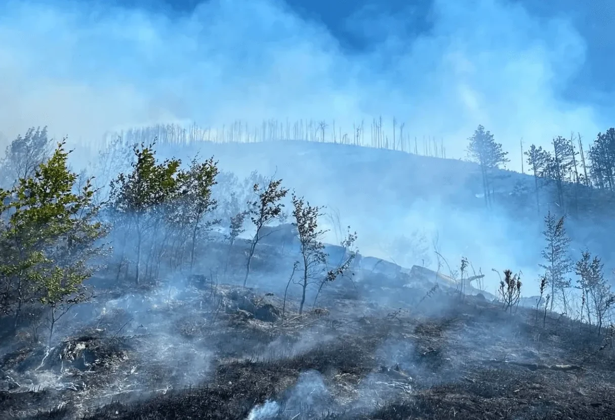 Dim od šumskog požara koji se širi uzbrdo