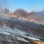 Apel građanima: Pripazite na vatru, stižu sušni dani