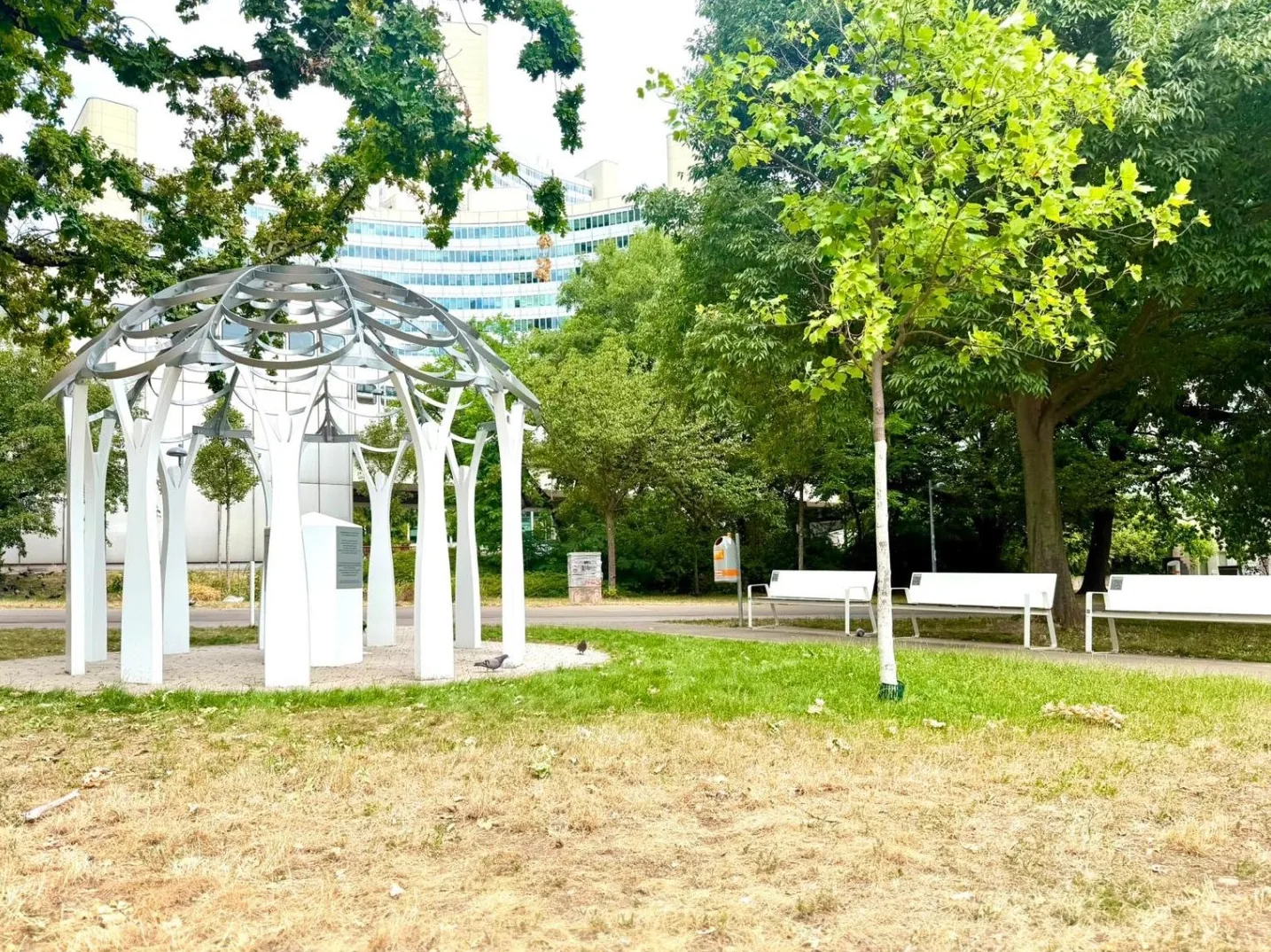 Moderni paviljon u obliku drveta sa metalnim krovom, okružen zelenilom i klupama za sjedenje u parku.