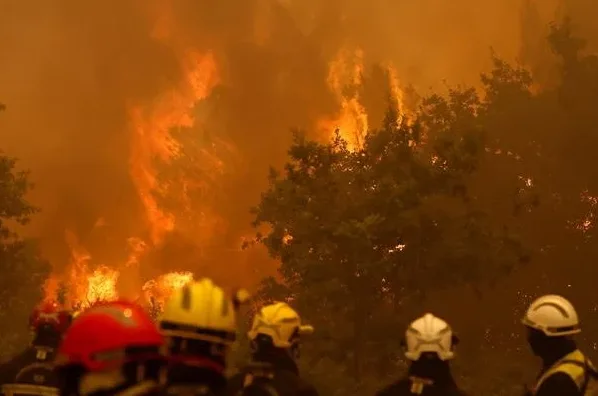 Grupa vatrogasaca u zaštitnoj opremi gleda u veliki šumski požar s drvećem u plamenu i gustim dimom.