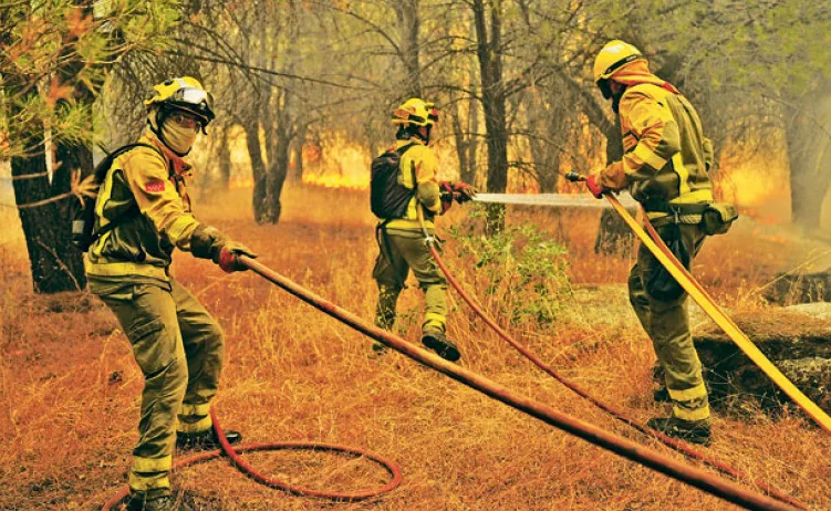Vatrogasci u zaštitnoj opremi gase požar u šumi.
