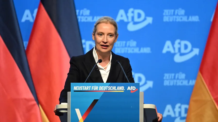 Alice Weidel i AfD politika