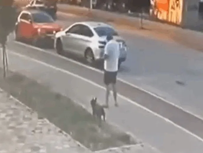 Čovjek sa psom na trotoaru pored saobraćajnice, sa automobilima u pokretu.