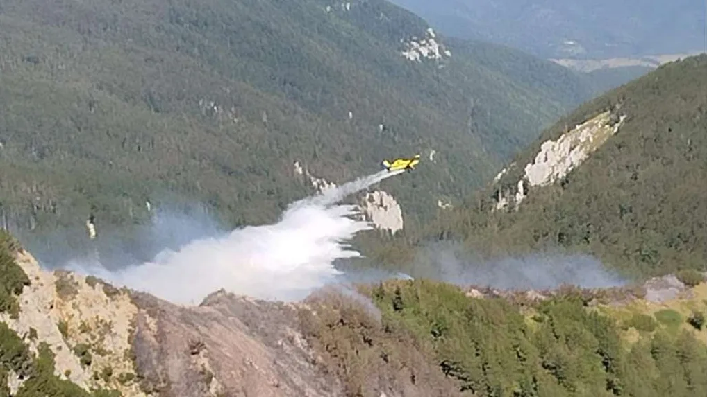 Avion gasi požar na Dinari