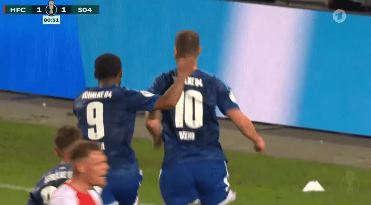Edin Džeko slavi gol za Schalke