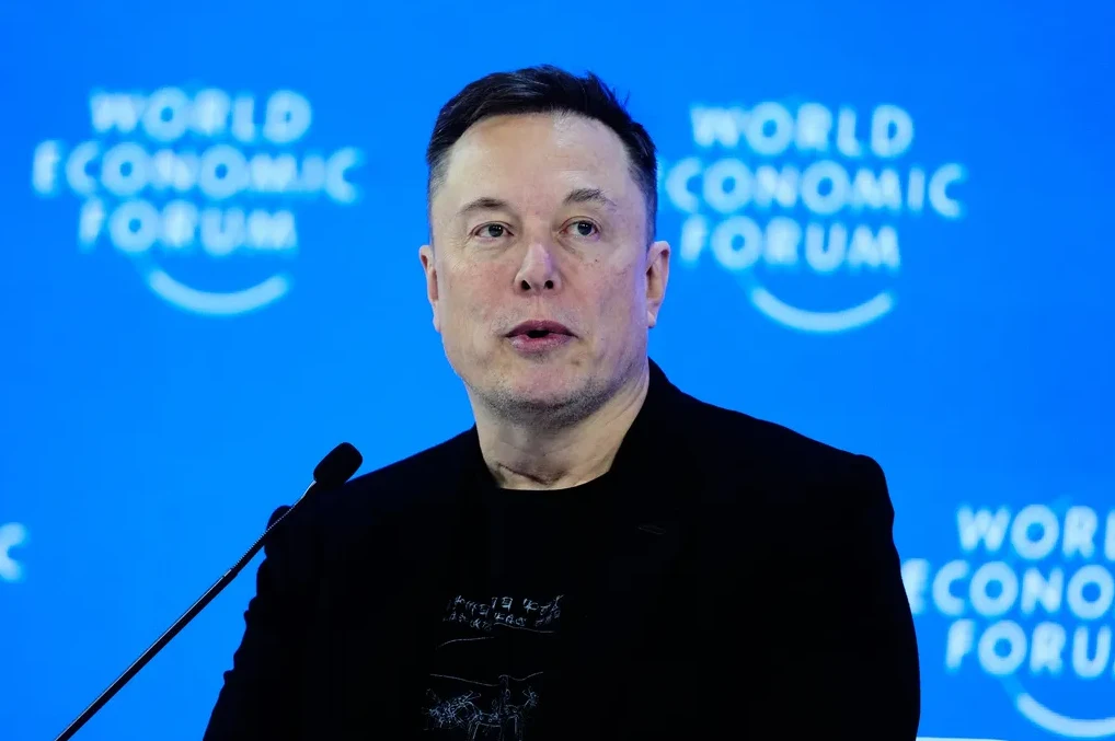 Elon Musk o AfD-u
