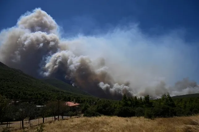Veliki oblak dima uzrokovan šumskim požarom iznad planine i šume, pod vedrim plavim nebom.
