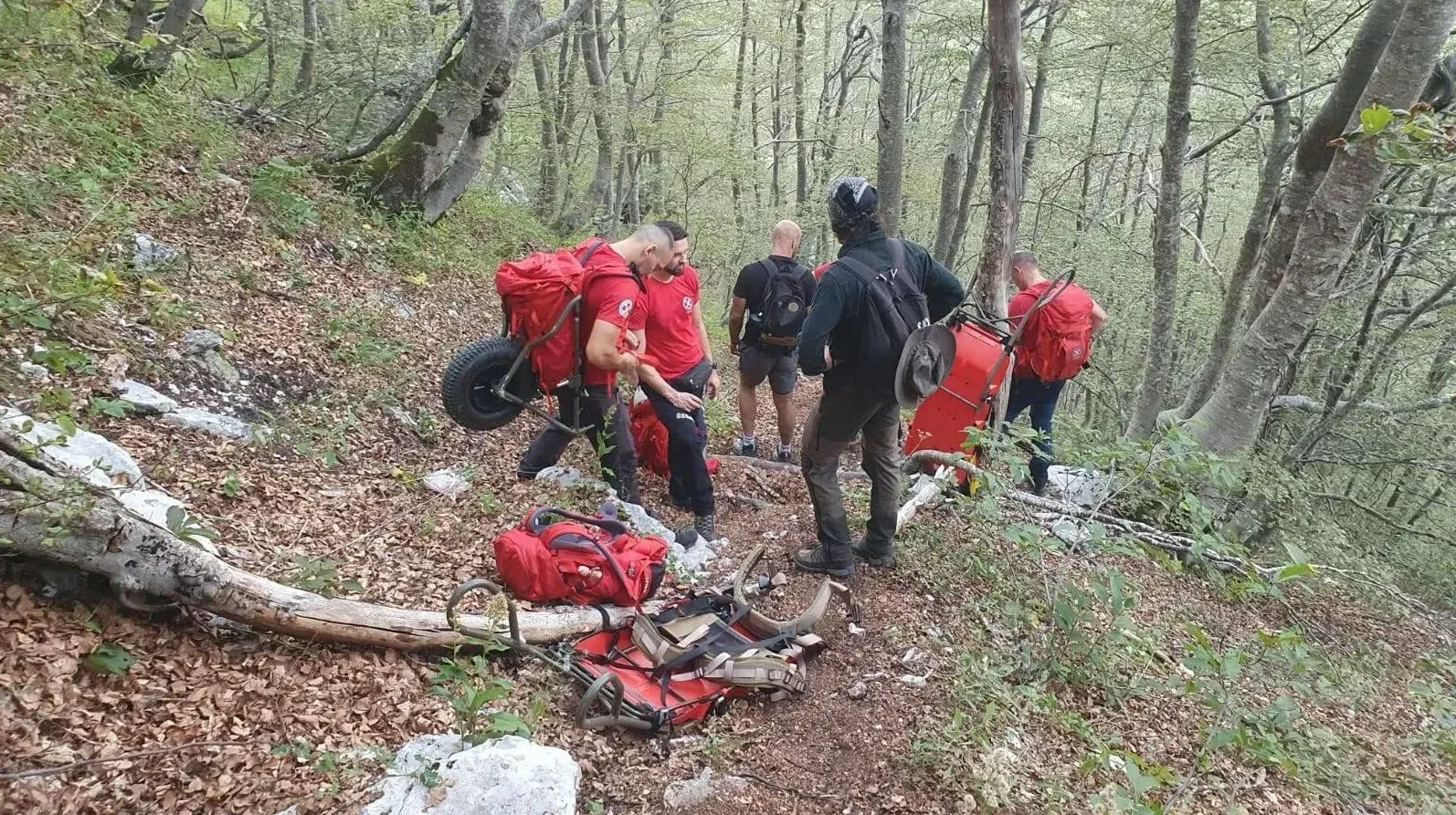 Spasilački tim u šumi