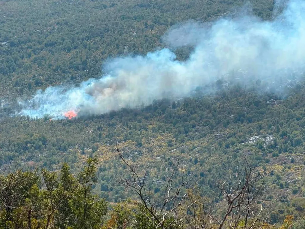 Požar kod Gruda bez pomoći air tractora