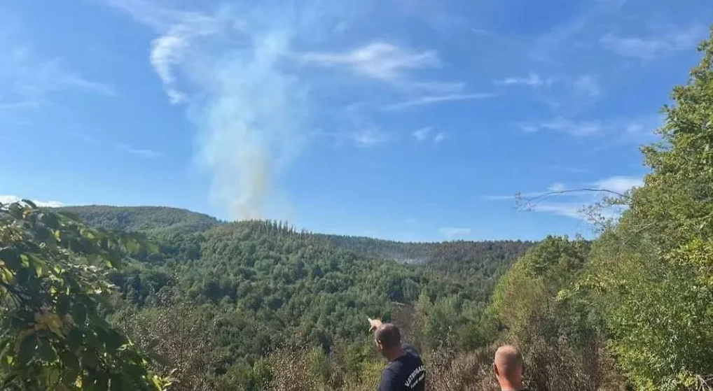 Požar kod Sanskog Mosta
