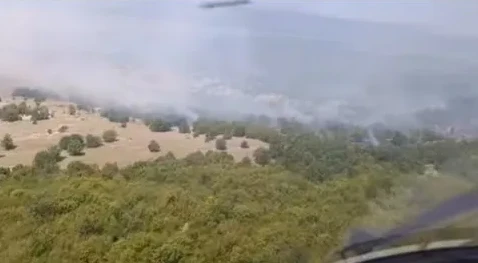 Dim od šumskih požara