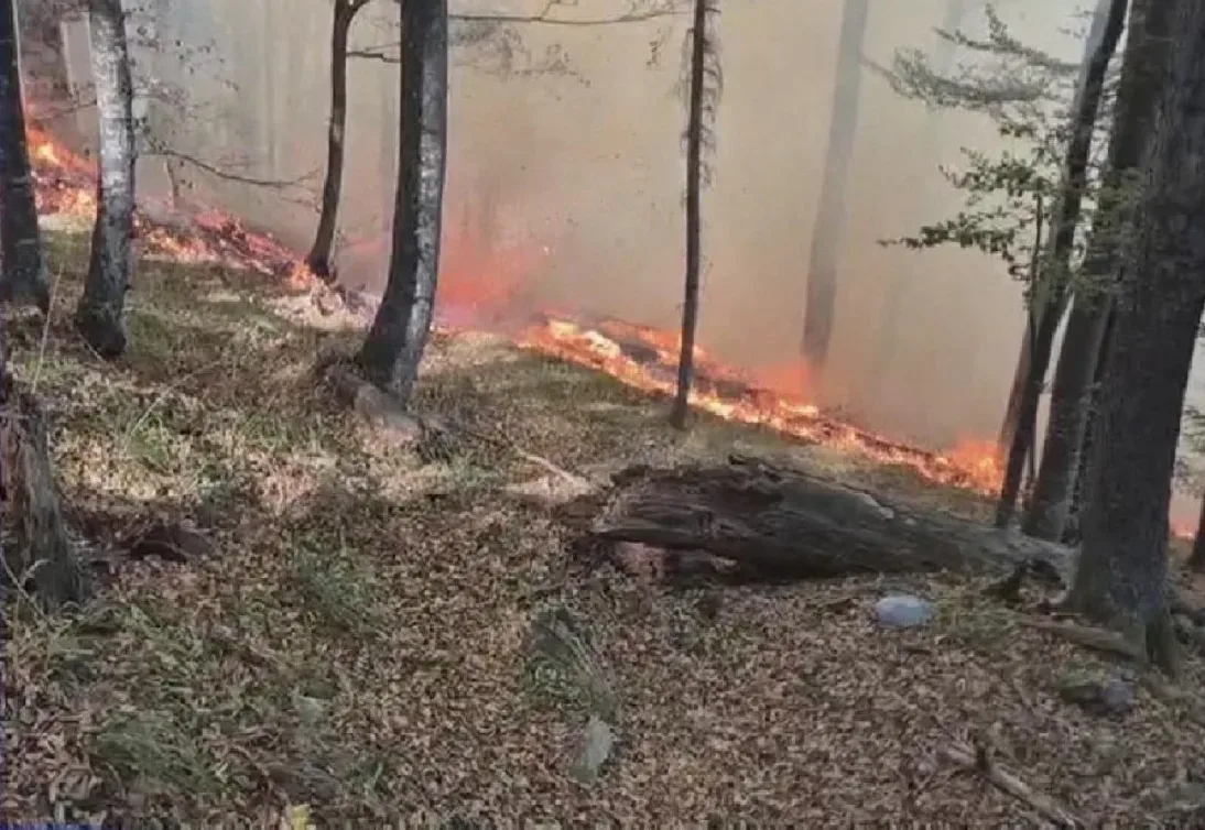 Šumski požari haraju Krajinom