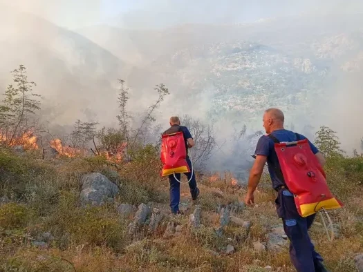 Dva vatrogasca s rancevima za vodu bore se sa izbijenim pozarom na obronku planine.