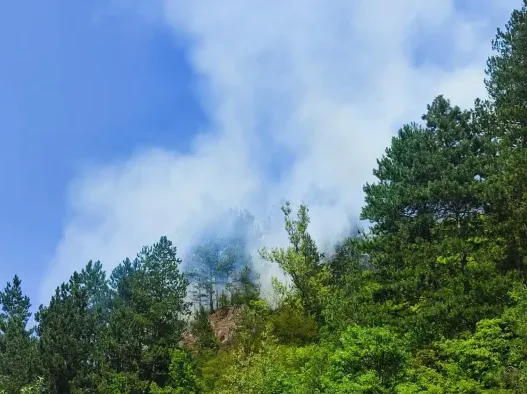 Dim koji se širi kroz krošnje drveća na obronku planine.