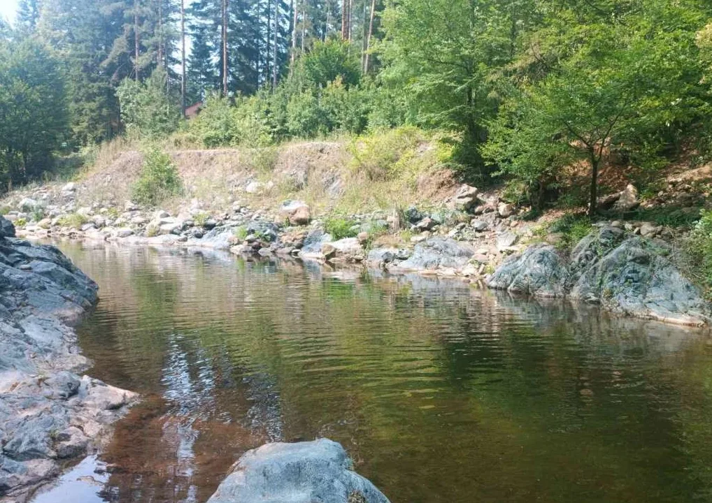 Umjetnički kadar mirne rijeke koja protiče kroz bujnu šumu, sa stjenovitim obalama i gustom vegetacijom.