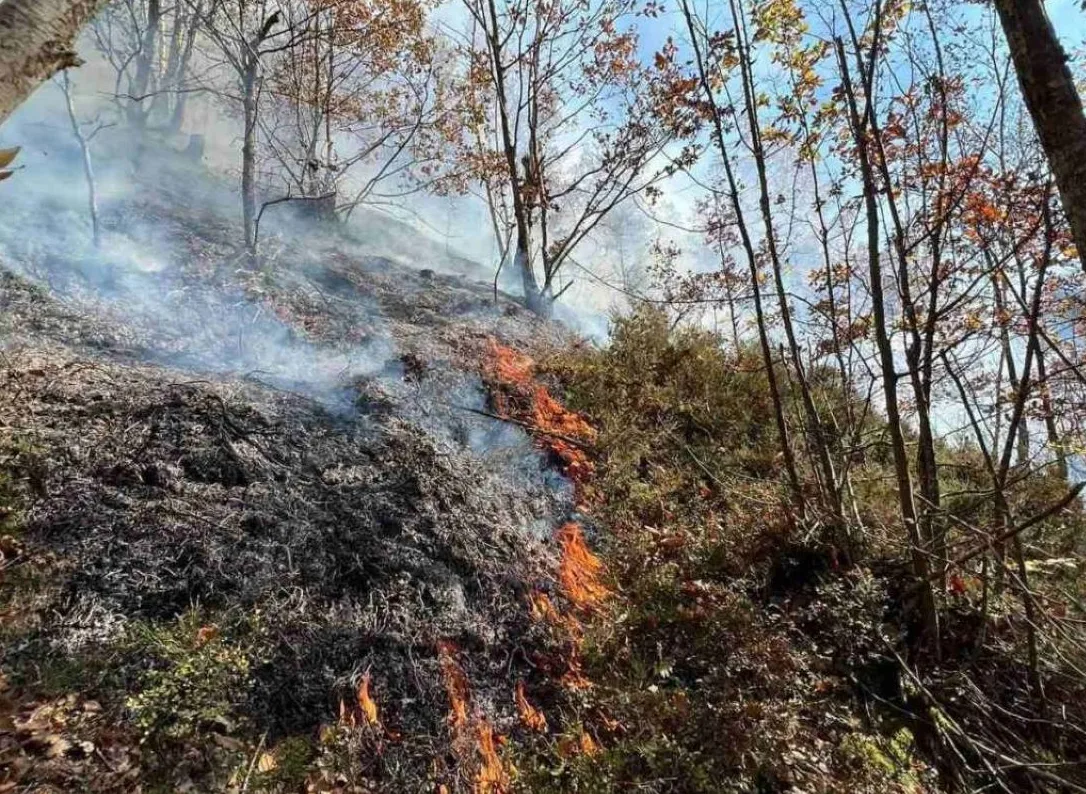 Vatra i dim na šumskoj padini
