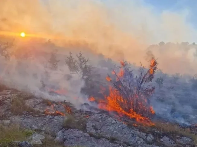 Vatrena stihija kod Trebinja