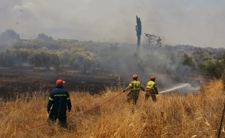Vatrogasci u zaštitnoj opremi gase požar koji se širi kroz suvo rastinje i maslinike, uz vidljivi dim u pozadini.