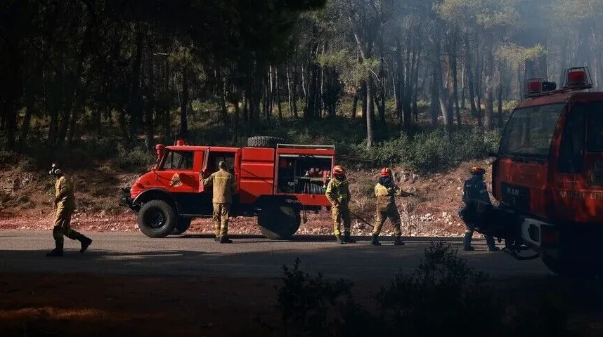 Vatrogasci u zaštitnoj opremi pored vatrogasnih vozila na šumskom požaru.
