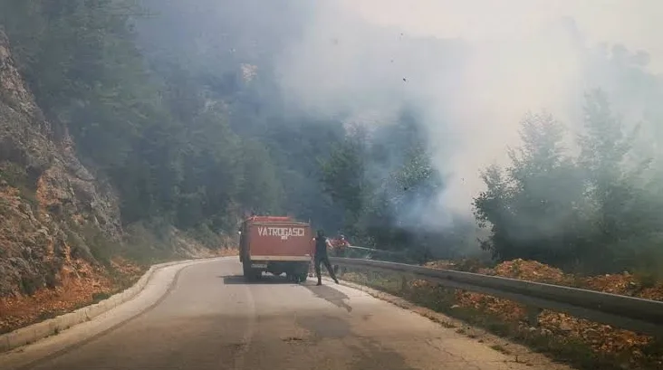 Crveni vatrogasni kamion sa natpisom "VATROGASCI" parkiran uz regionalni put, u pozadini se vidi gusti dim koji kulja iz šume, a vatrogasci pokušavaju da ugase požar.