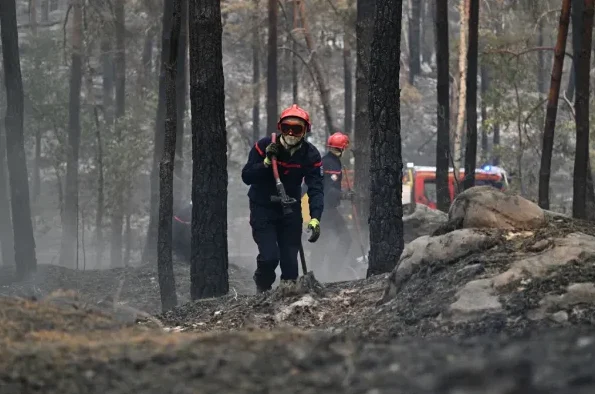 Dva vatrogasca u zaštitnoj opremi, crvenim kacigama i tamnoplavim uniformama, kreću se kroz opustošenu šumu. Jedan od vatrogasaca nosi sjekiru ili motiku, dok se u pozadini nazire vatrogasno vozilo sa upaljenim plavim rotacionim svjetlima.