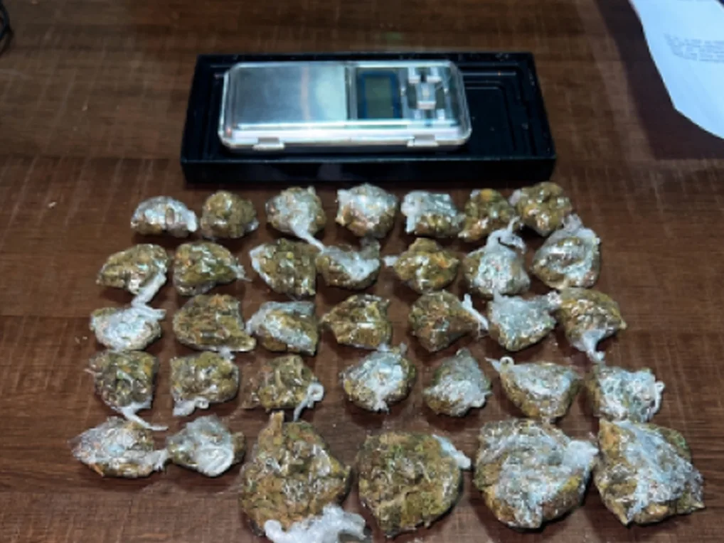 Zaplijenjeni cannabis i speed