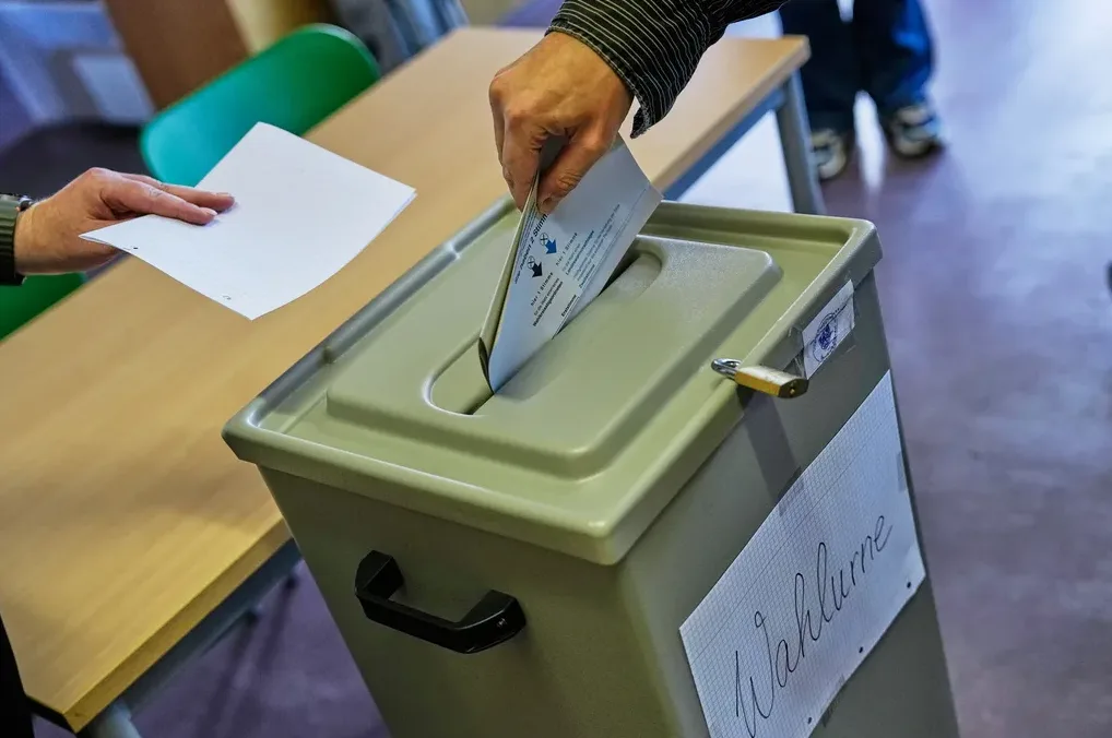 Glasanje na izborima AfD
