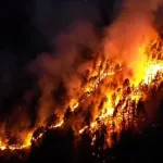 Borova šuma u Konjicu u plamenu, vatra prijeti kućama, mještani u pomoći