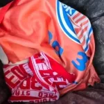 Dugogodišnji navijač Zvezde zbog počasti Mladiću bacio dres i šal u smeće