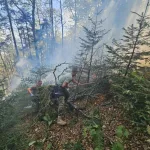 Vojnici OS BiH stavili pod kontrolu požar na Plješevici i kod Žegara