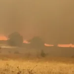 Požar kod Mostara stigao do Hanskog polja, vatrogasci na terenu