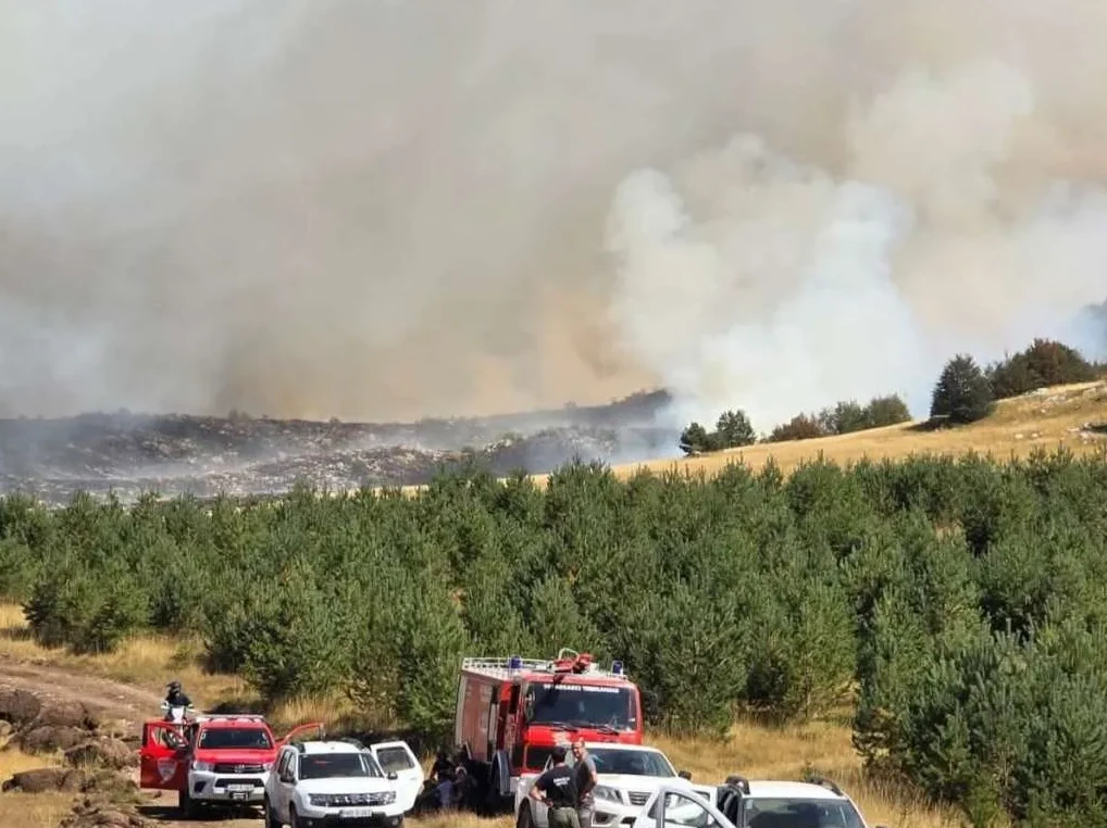 Vatrogasci gase požar u Hercegovini