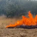 Požari haraju BiH: Najteže u Drvaru, Prozor-Rami i Bileći