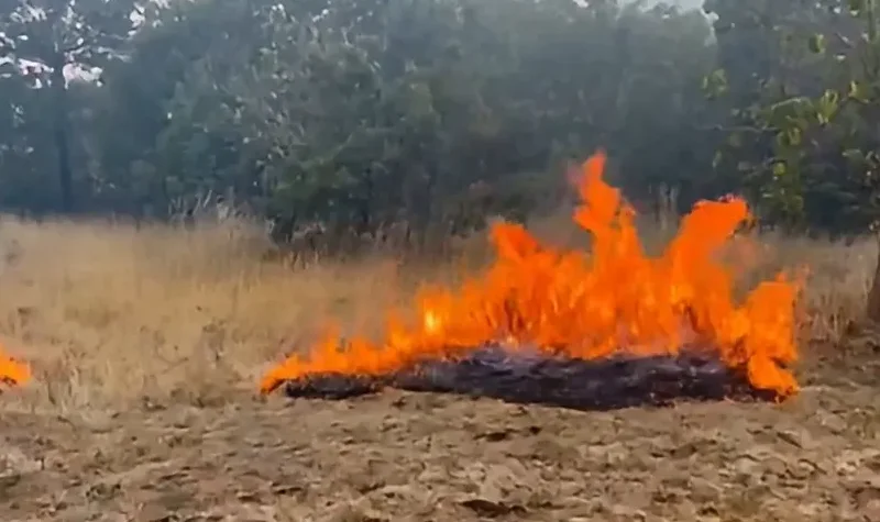 Požari haraju širom BiH