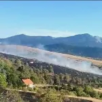 Požari u BiH progutali 40.000 hektara: Obnova gotovo da ne postoji