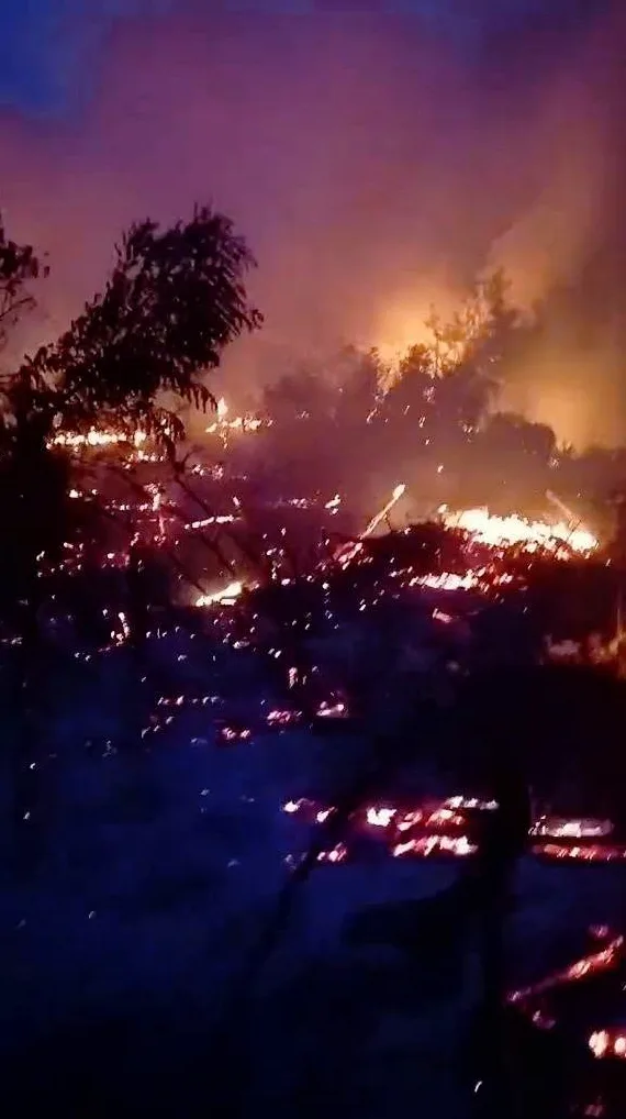 Veliki šumski požar noću