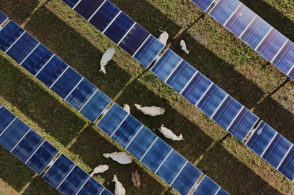 Solarni paneli za energetsku nezavisnost