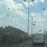 Oluje u Sloveniji i Hrvatskoj: Udar vjetra i do 50 km/h