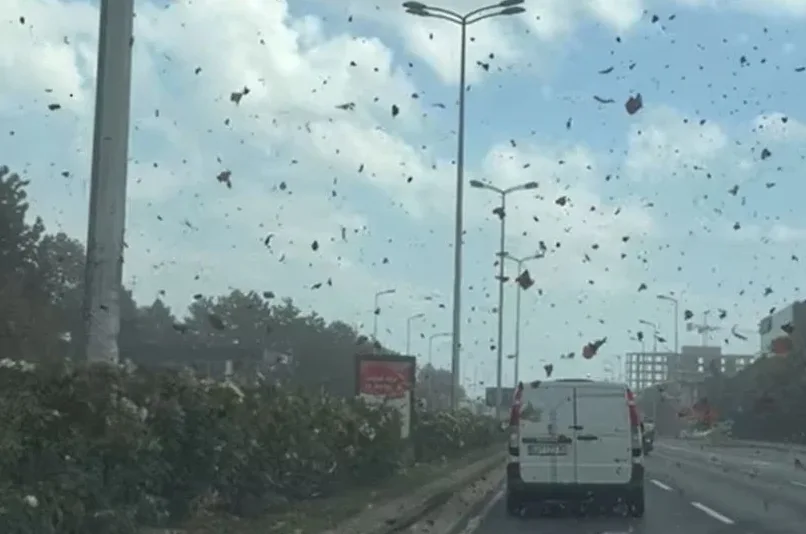 Veliko nevrijeme i vjetar
